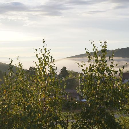 Gites Du Taennchel Thannenkirch Exterior photo